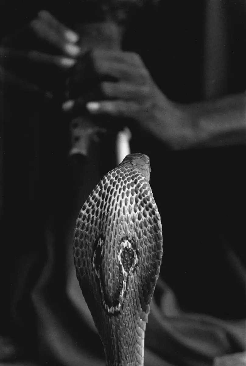 India 2003<p>&copy; Jens Hoffmann</p>
