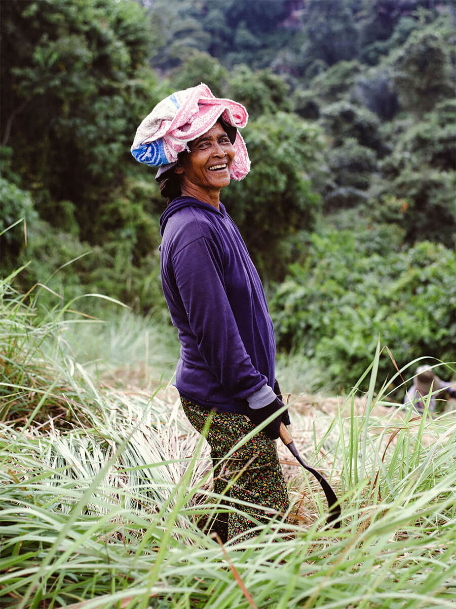 Cutting grass.  Ubud, Indonesia.<p>© Joris Hermans</p>