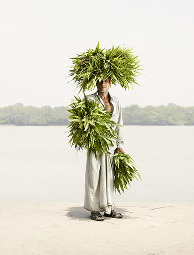 Flower Man: Odhir Gayen, Devdar leaves<p>© Ken Hermann</p>