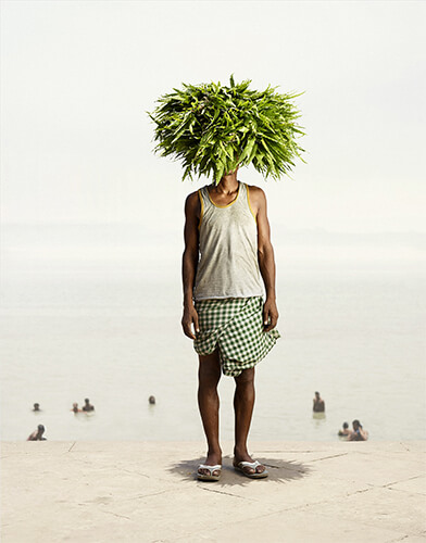 Flower Man: Angad Ray, Devdar leaves<p>© Ken Hermann</p>
