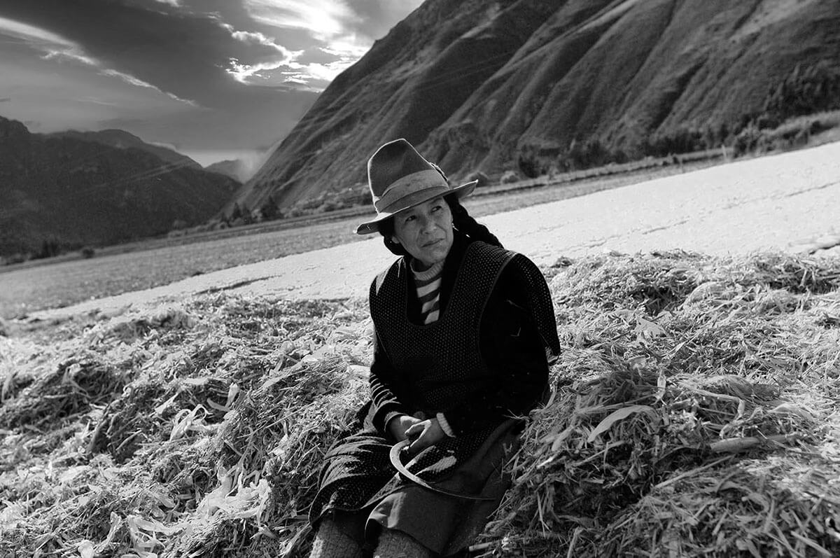 Harvesting The Hay Peru<p>© Linda Hollinger</p>