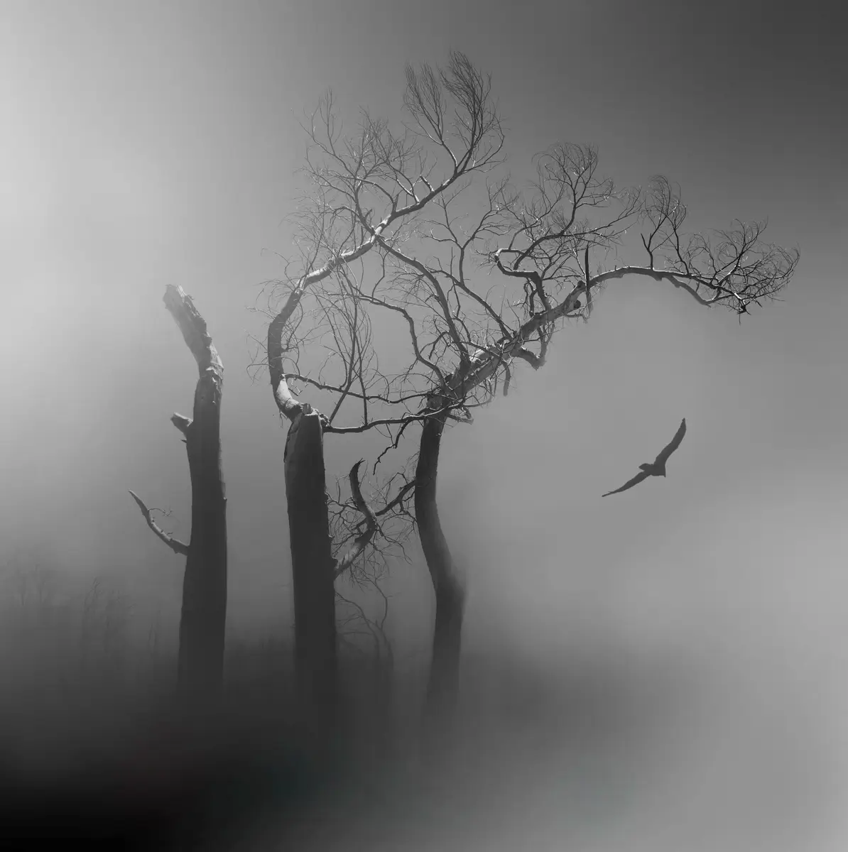 Morning in the Marsh<p>© Margaret Halaby</p>