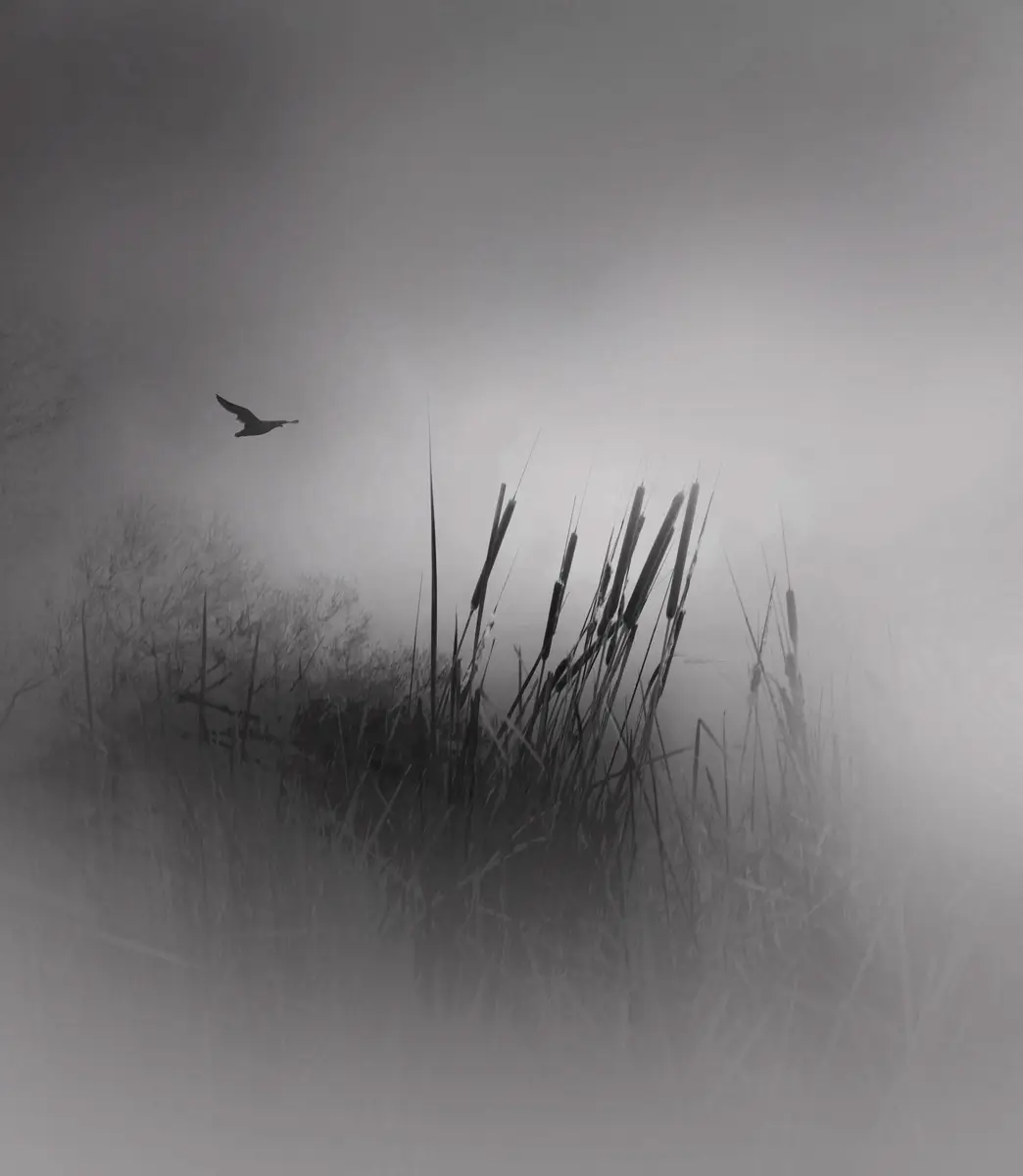 Tranquility<p>© Margaret Halaby</p>