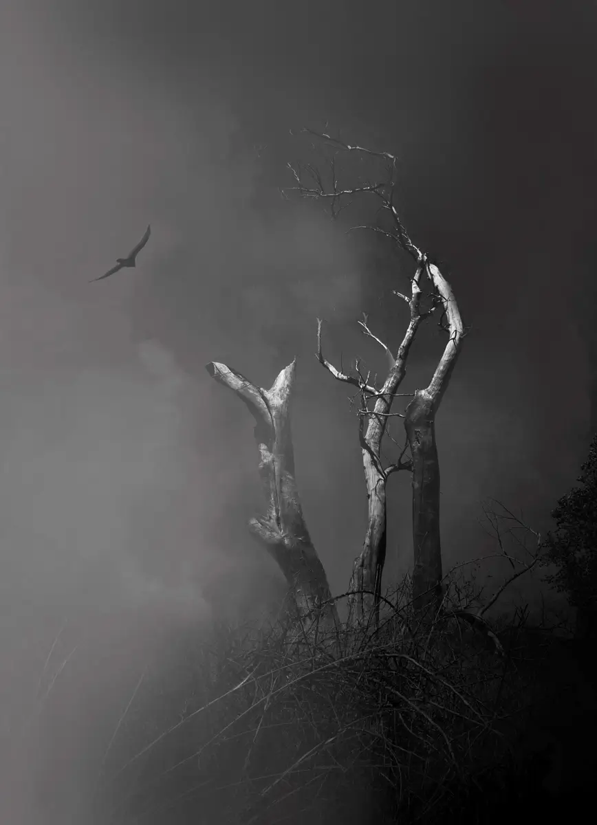 When the Rains Fail<p>© Margaret Halaby</p>
