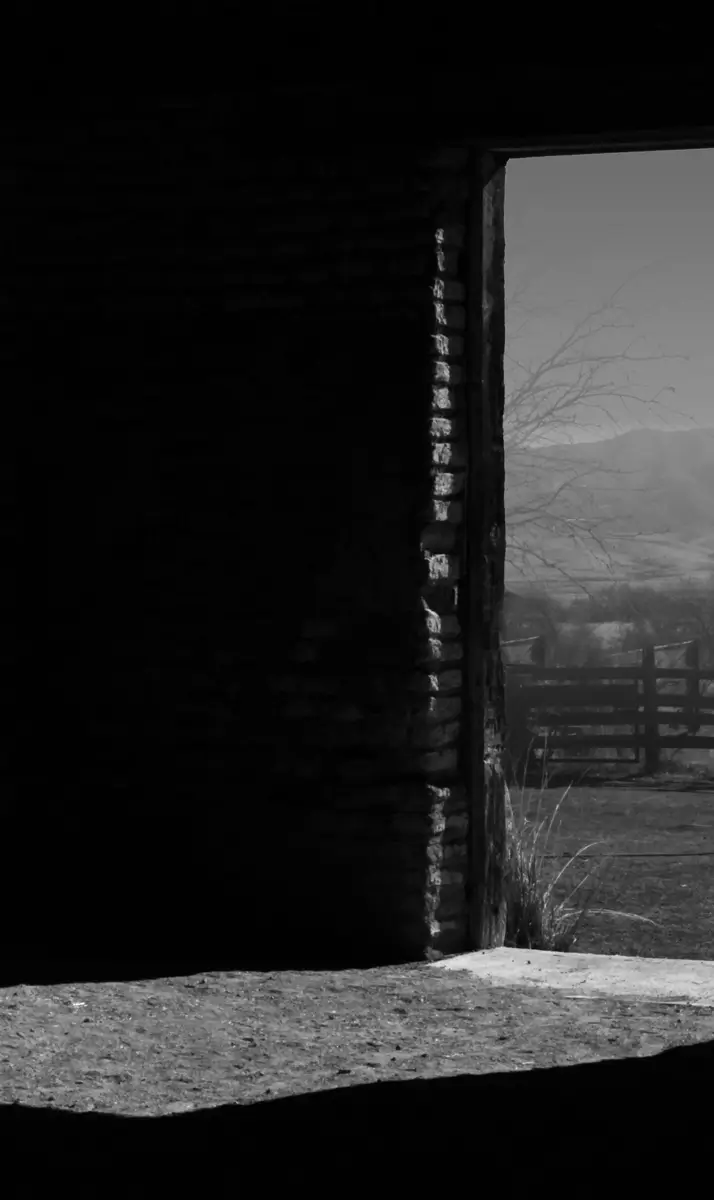 The Barn In Early Morning<p>© Margaret Halaby</p>