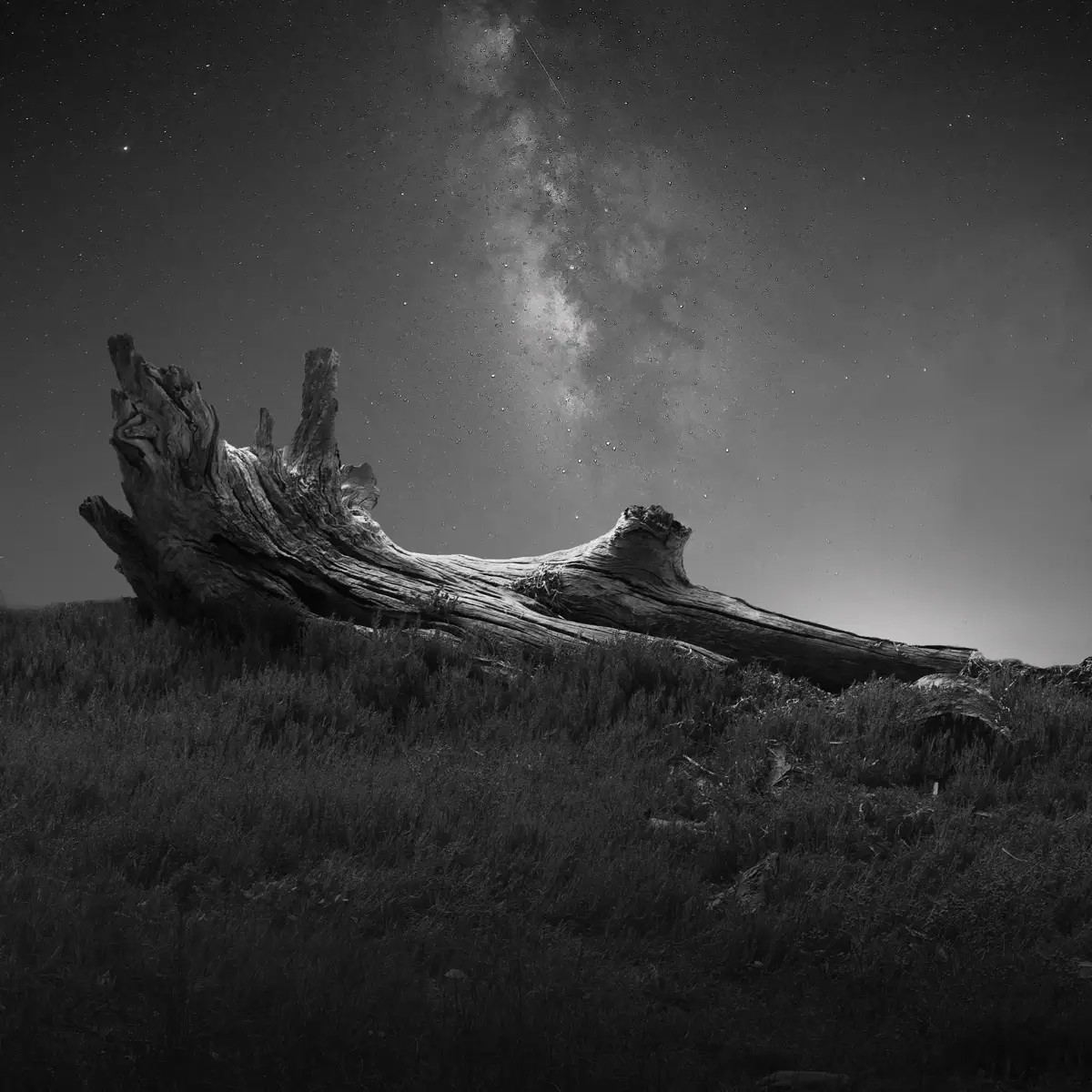 We Are Each Alone<p>© Margaret Halaby</p>