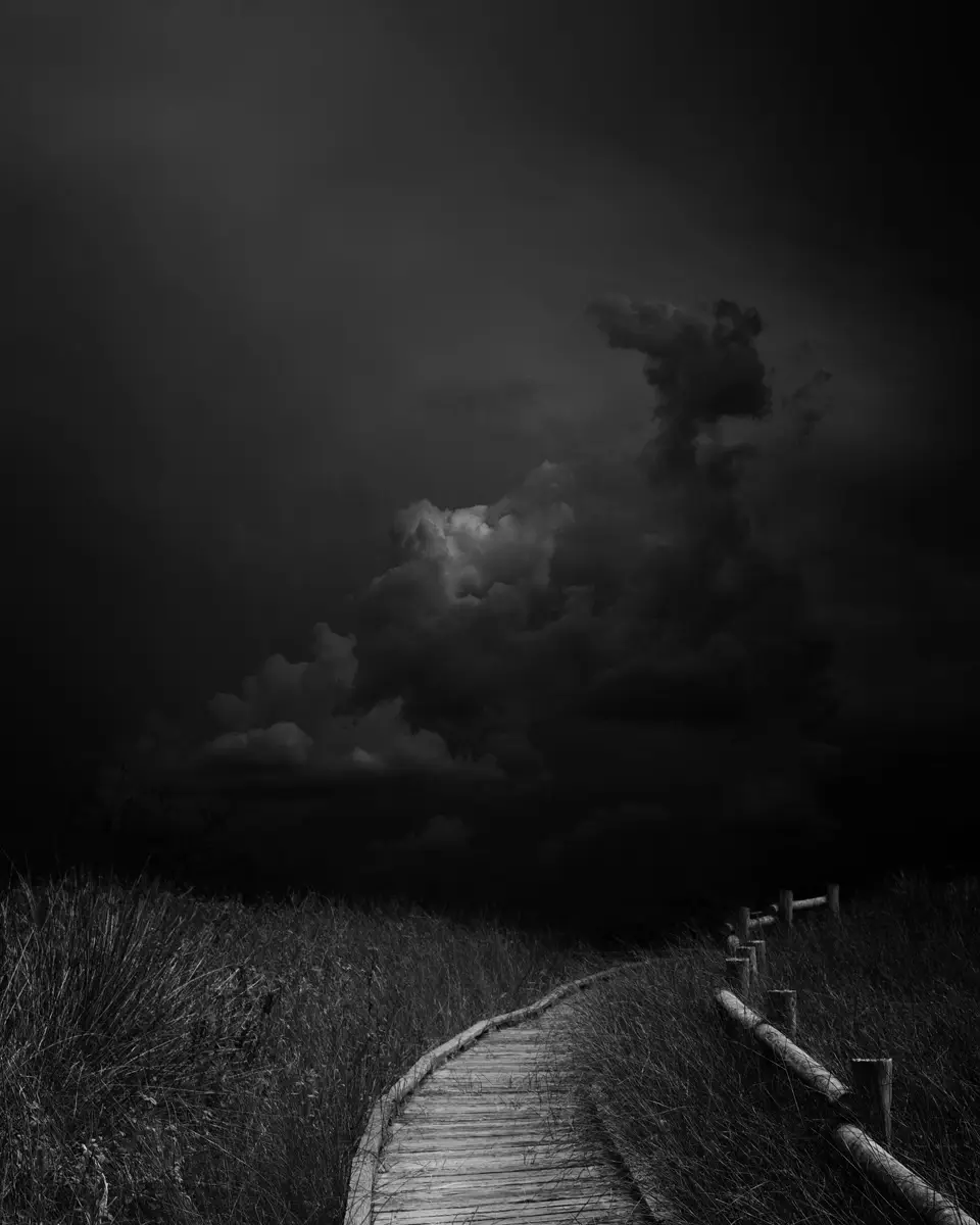 Approaching Storm<p>© Margaret Halaby</p>