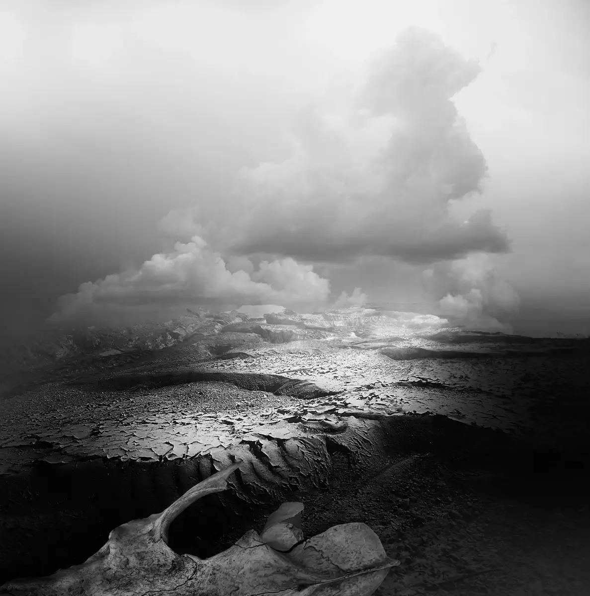 Badlands<p>© Margaret Halaby</p>