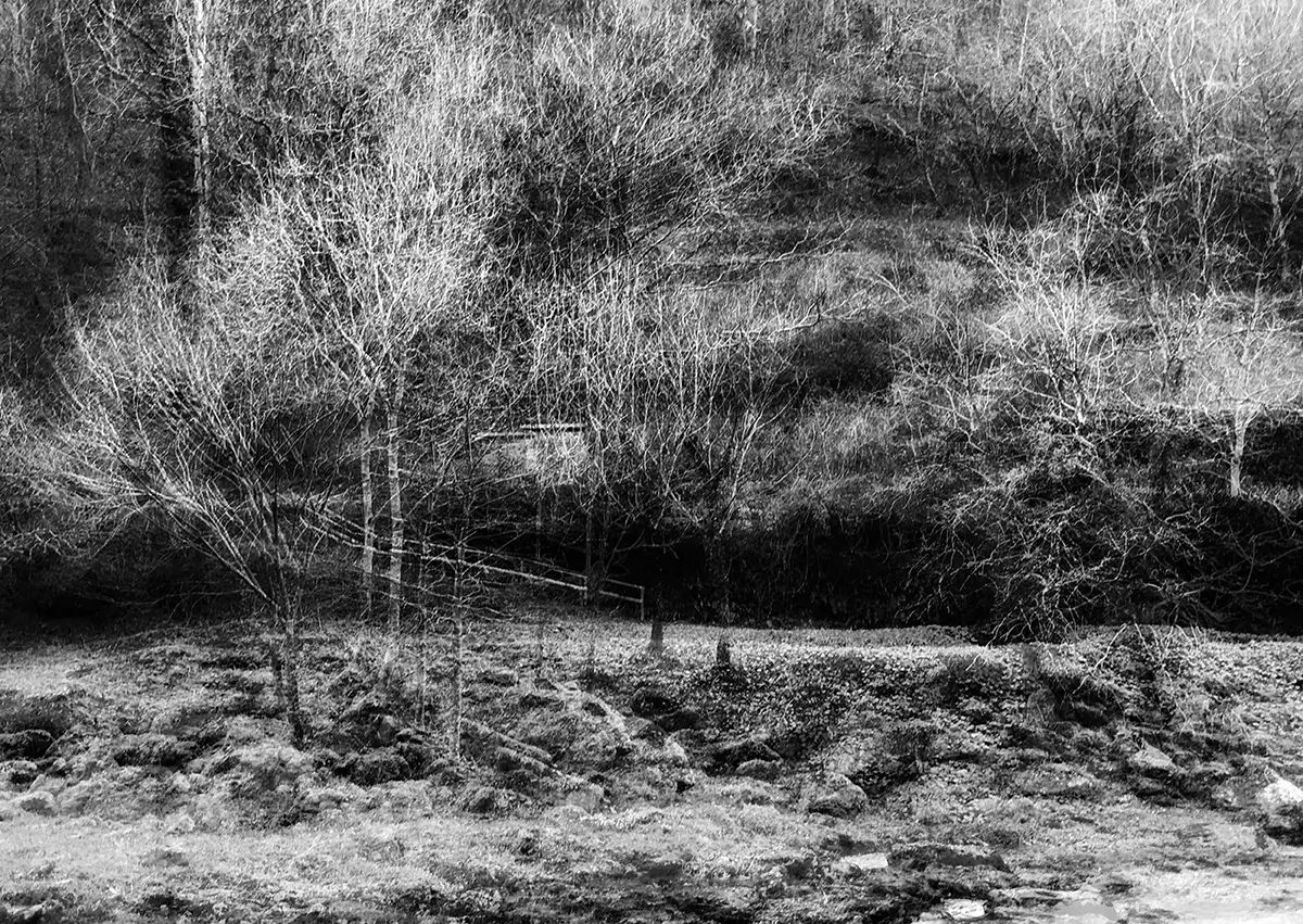 <p>© Maxine Harraway</p>