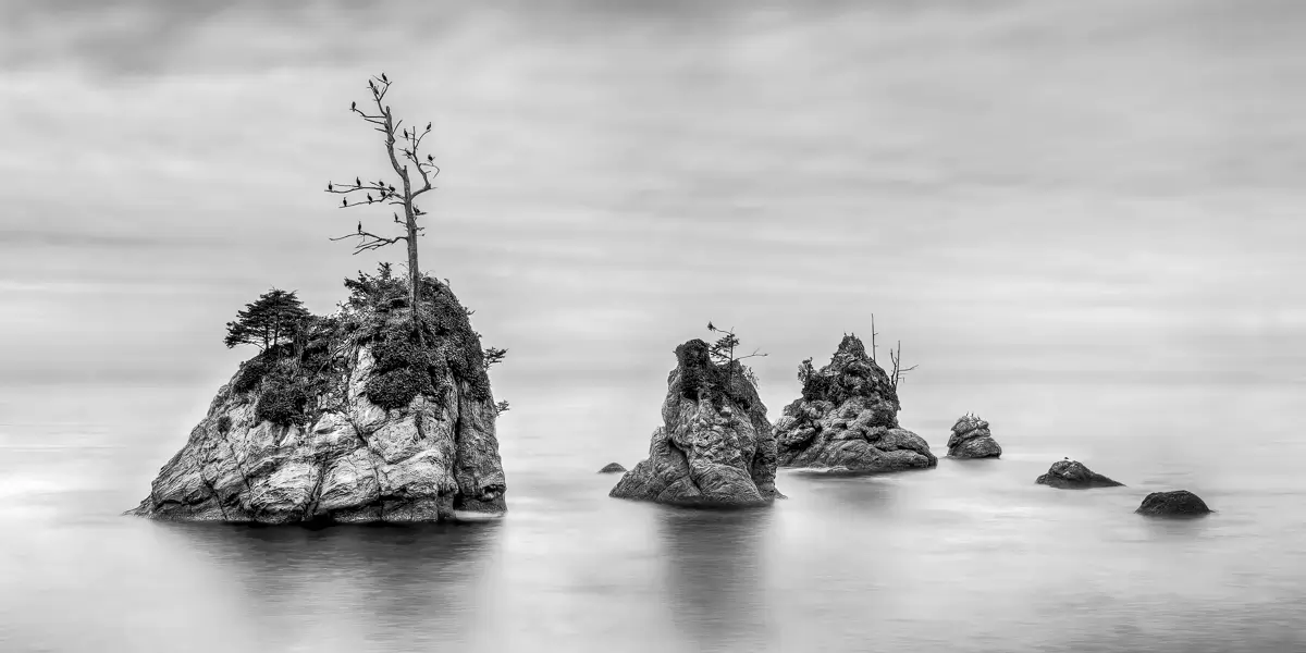 Rocks in Still Water<p>© Michael Hrankowski</p>