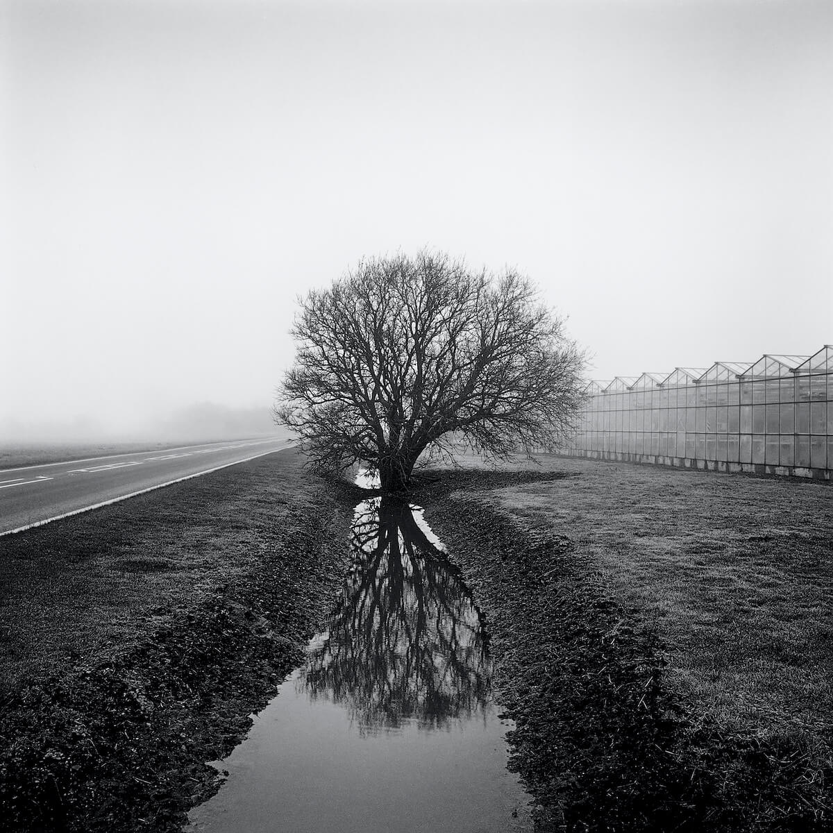 Lyn Way (2013) from the series FARMED<p>© Paul Hart</p>