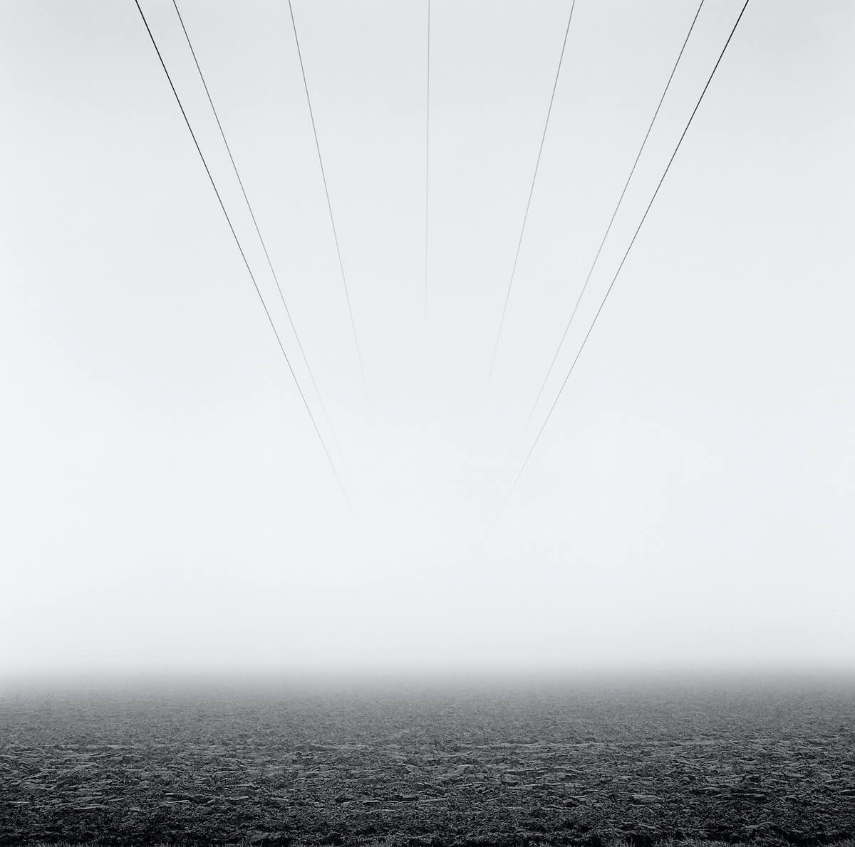Holbeach Bank (2013) from the series FARMED<p>© Paul Hart</p>