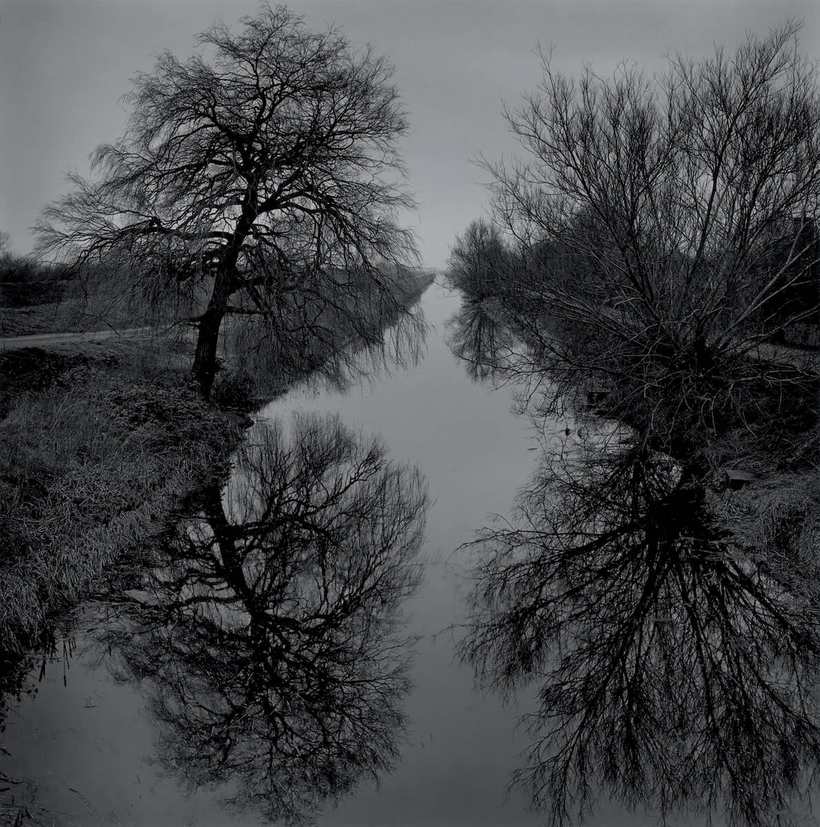 Old Bedford River (2019) from the series RECLAIMED<p>© Paul Hart</p>