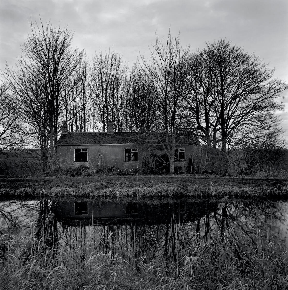 Walsingham Fen (2019) from the series RECLAIMED<p>© Paul Hart</p>