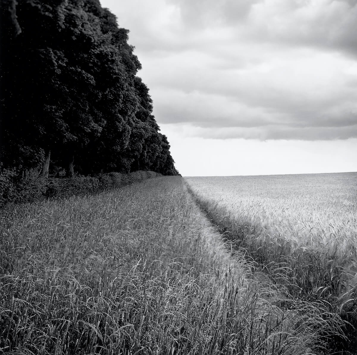 Anmer (2009) from the series FARMED <p>© Paul Hart</p>