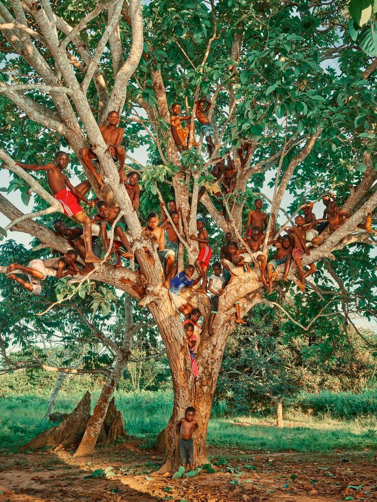 Photograph taken in the Odzala Kokoua National Park by Pieter Henket, and published in the book Congo Tales<p>© Pieter Henket</p>