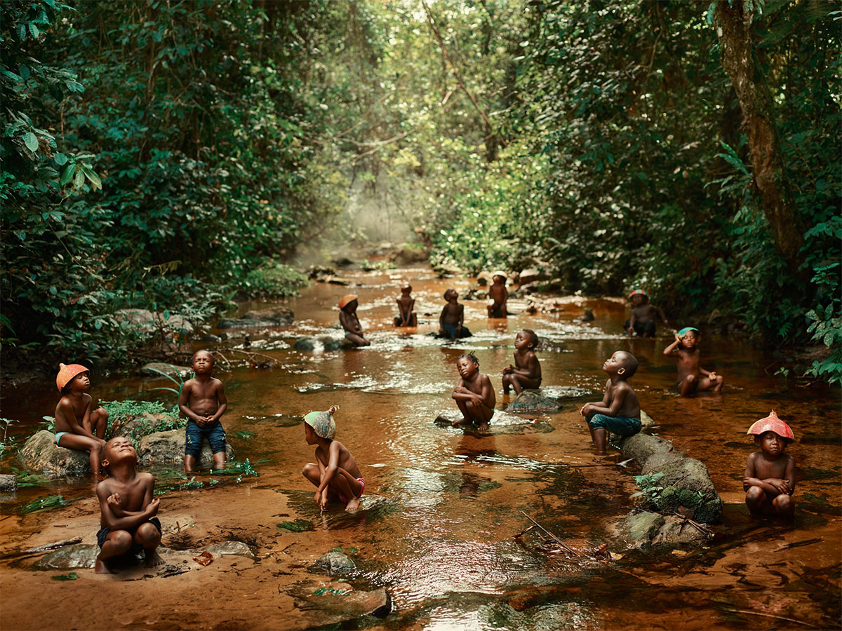Photograph taken in the Odzala Kokoua National Park by Pieter Henket, and published in the book Congo Tales<p>© Pieter Henket</p>