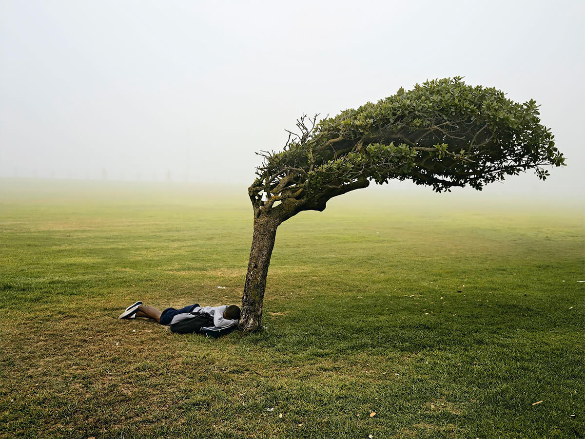 From the series Kin, Green Point Common, Cape Town, 2013 - Digital C-Print © Pieter Hugo, Courtesy Yossi Milo Gallery, New York<p>© Pieter Hugo</p>