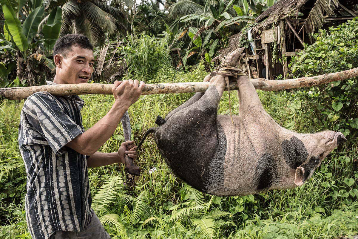 Mentawai pig farmer, Siberut island<p>© Rod Harbinson</p>