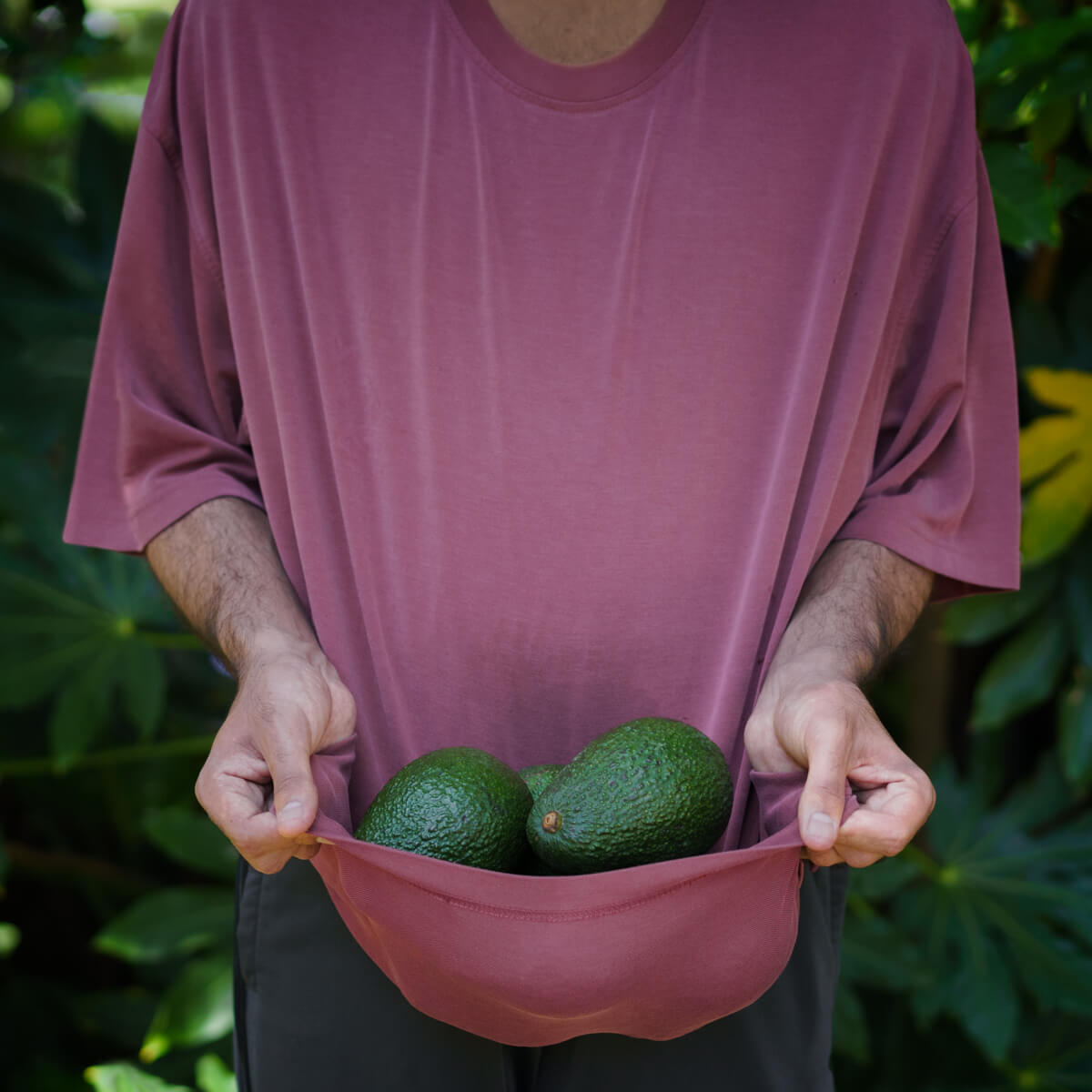 In Gratitude Avocados for avocado toast<p>© Rohina Hoffman</p>