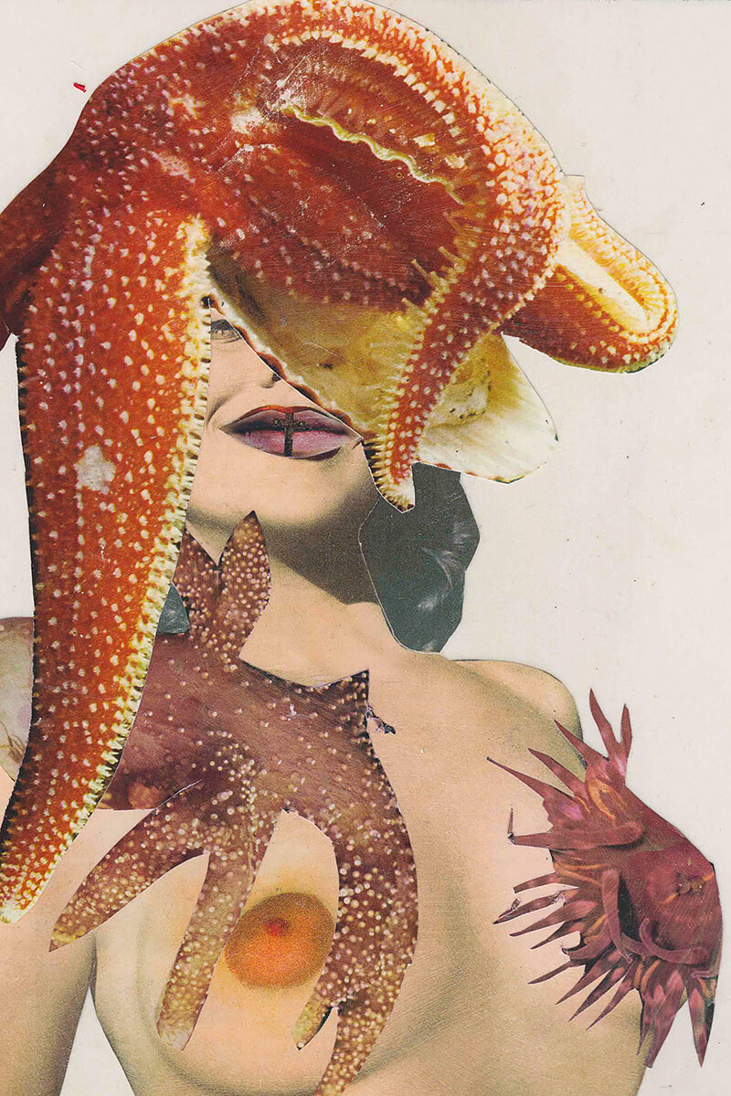 Starfish - Mixed Media<p>© Sam Heydt</p>