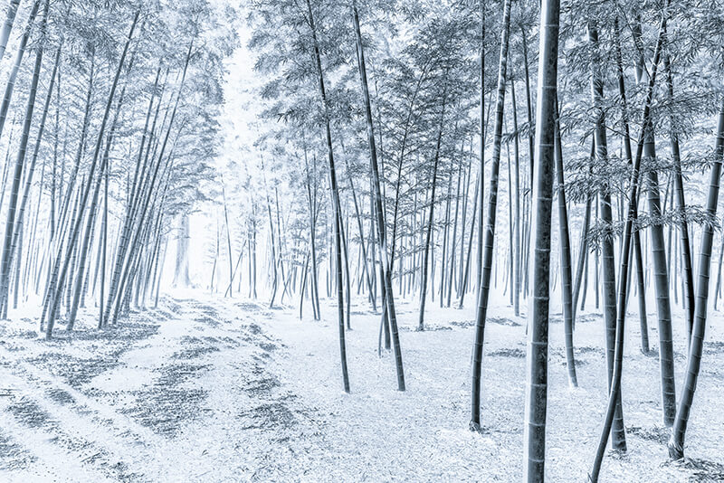 <p>© Takeo Hirose</p>