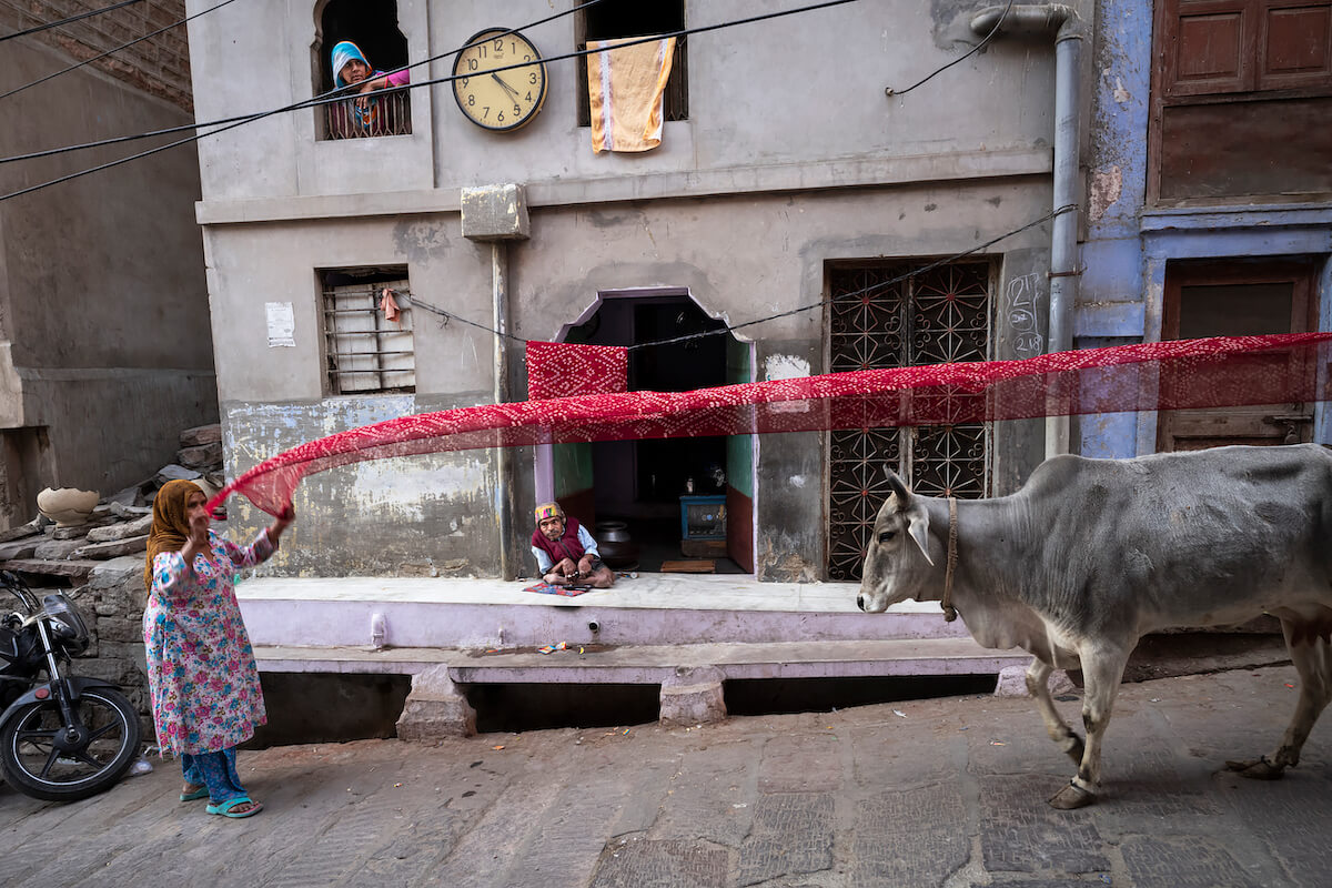 Jodhpur India<p>© Virginia Hines</p>