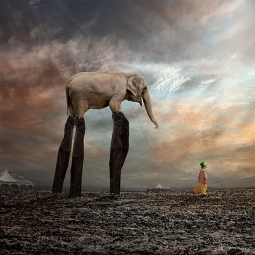 <p>© Caras Ionut</p>