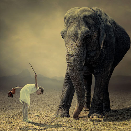 <p>© Caras Ionut</p>