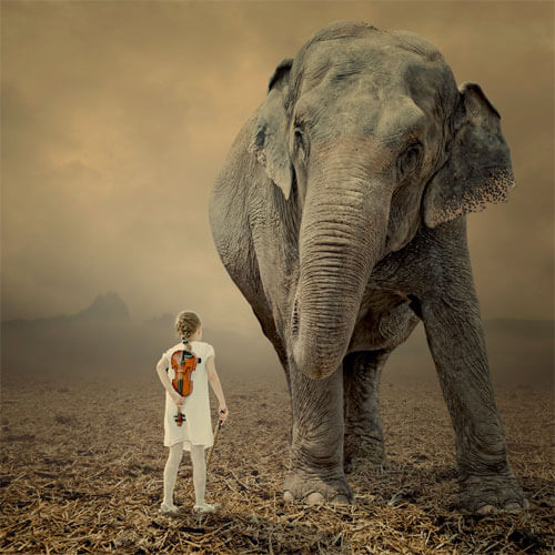 <p>© Caras Ionut</p>