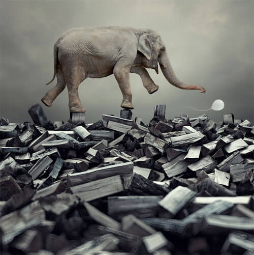 <p>© Caras Ionut</p>