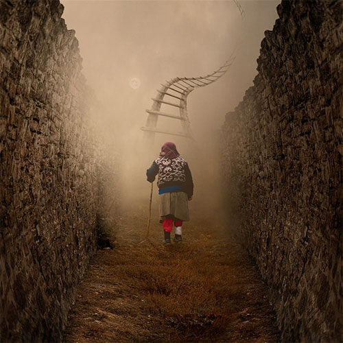 <p>© Caras Ionut</p>