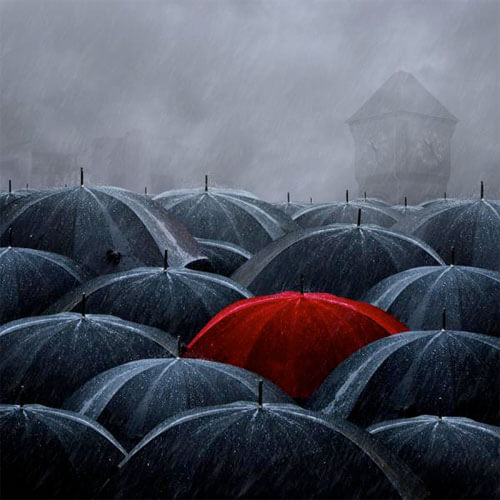 <p>© Caras Ionut</p>