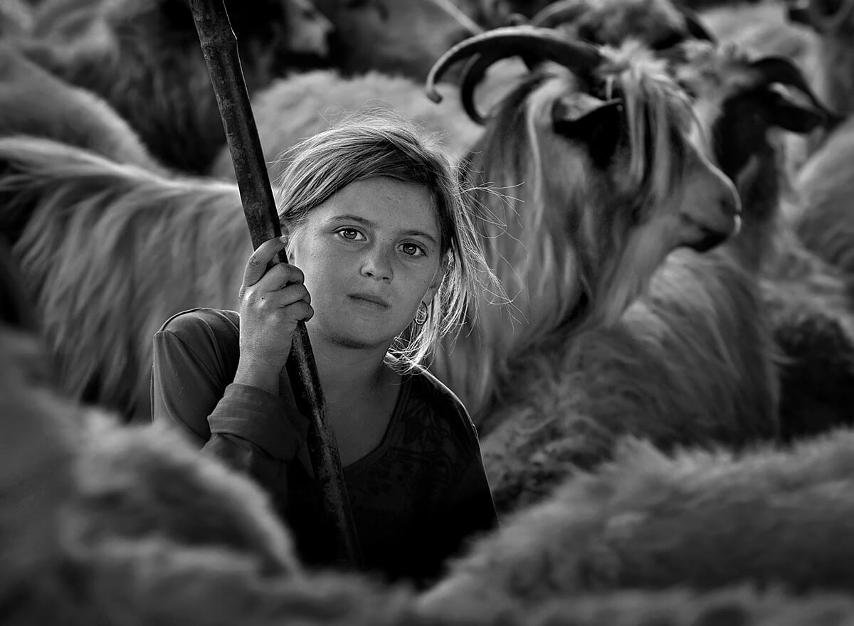Shepherd Girl<p>© Kerekes Istvan</p>