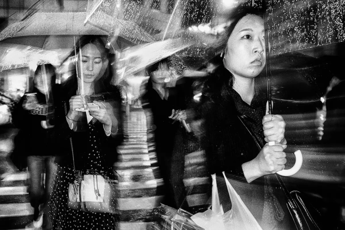<p>© Shinji Isobe</p>