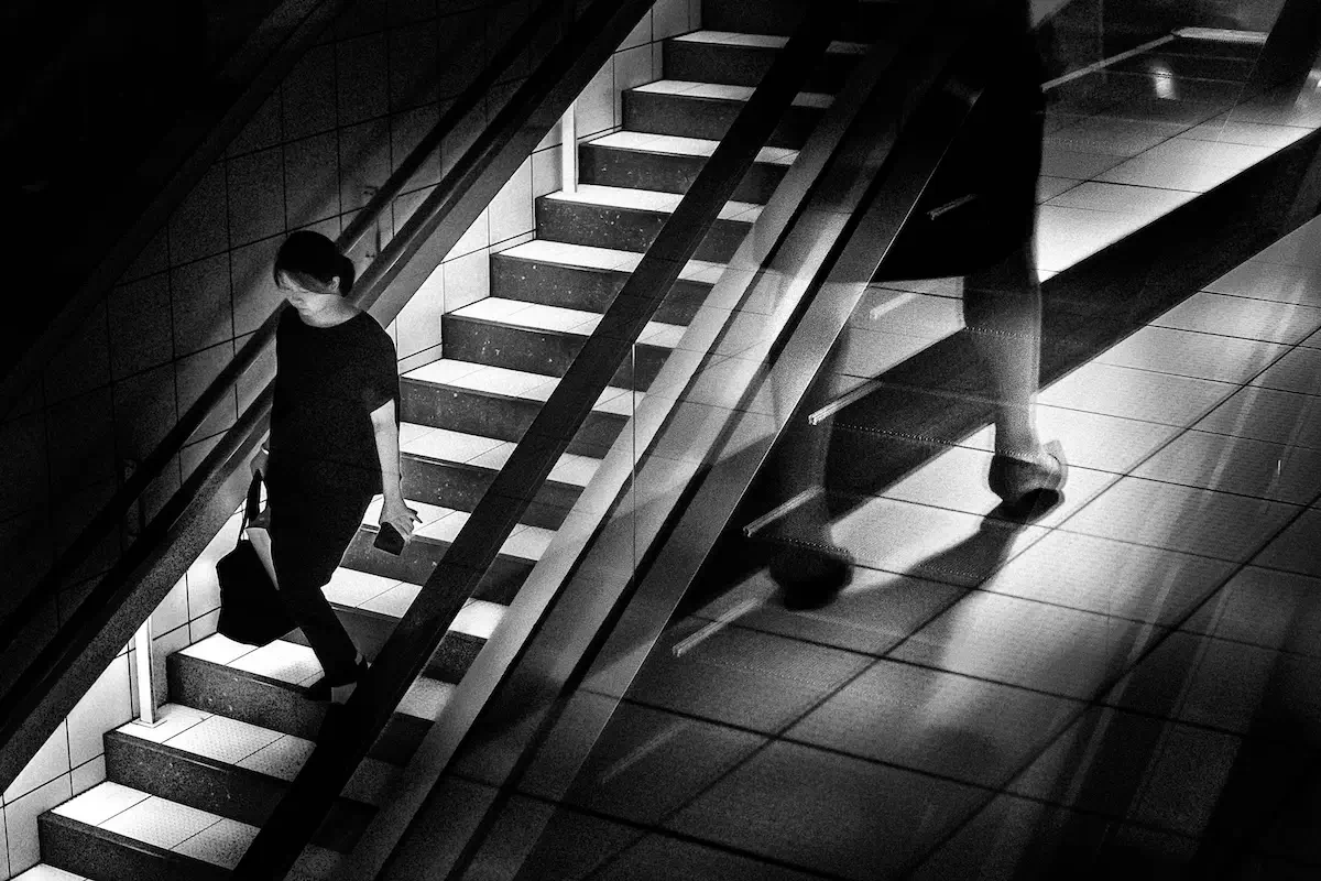 <p>© Shinji Isobe</p>