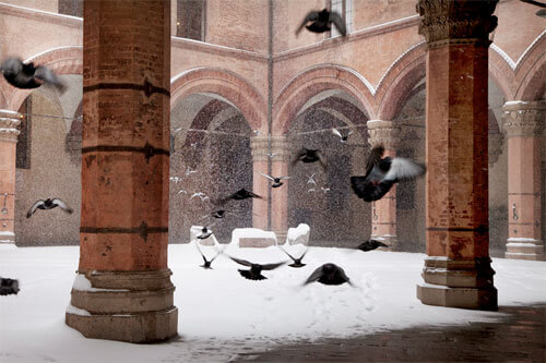 Les oiseaux<p>Courtesy Artemiss contemporary / © Christophe Jacrot</p>