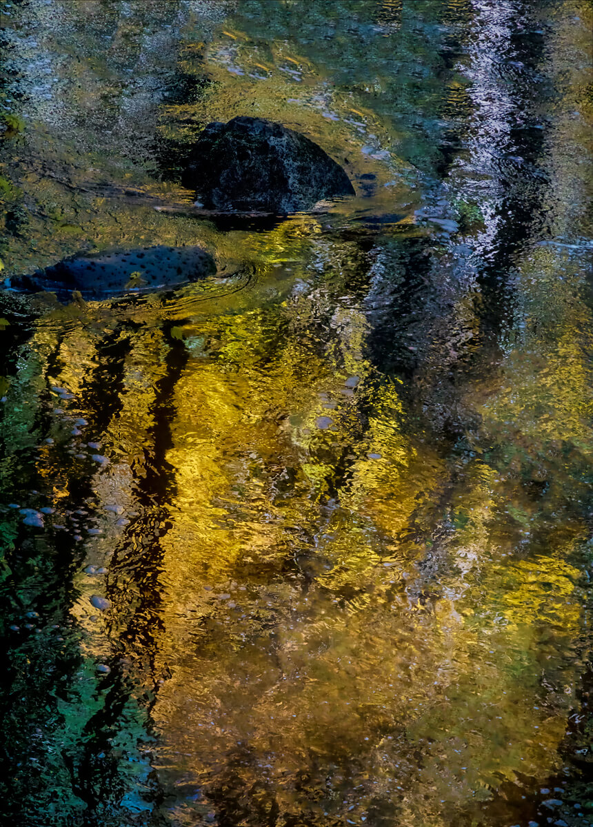 Golden Creek 17<p>© Don Jacobson</p>