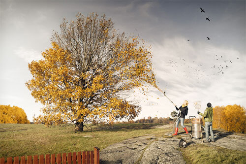 Helping fall<p>© Erik Johansson</p>