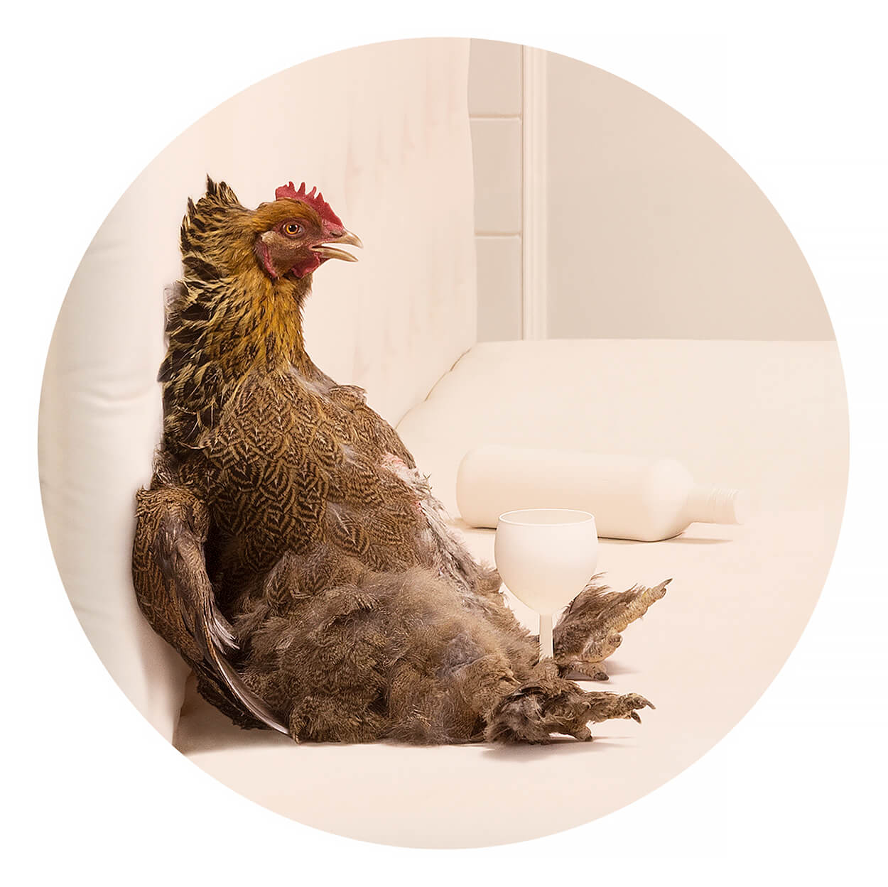 Chicken<p>Courtesy Bransch NY & EU / © Frieke Janssens</p>