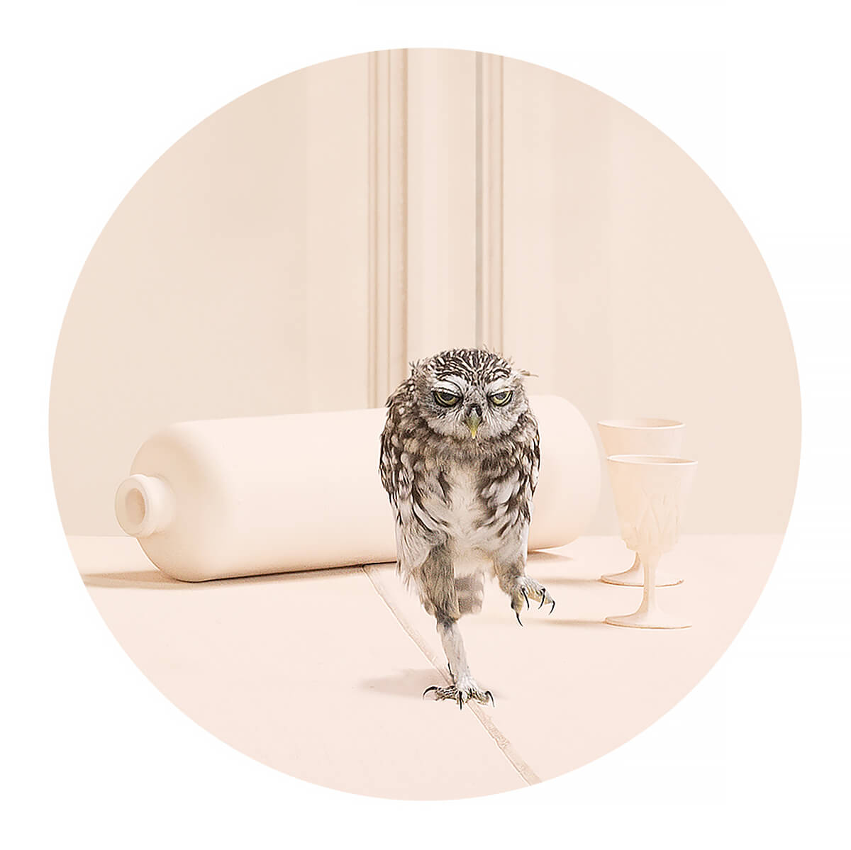 Owl<p>Courtesy Bransch NY & EU / © Frieke Janssens</p>