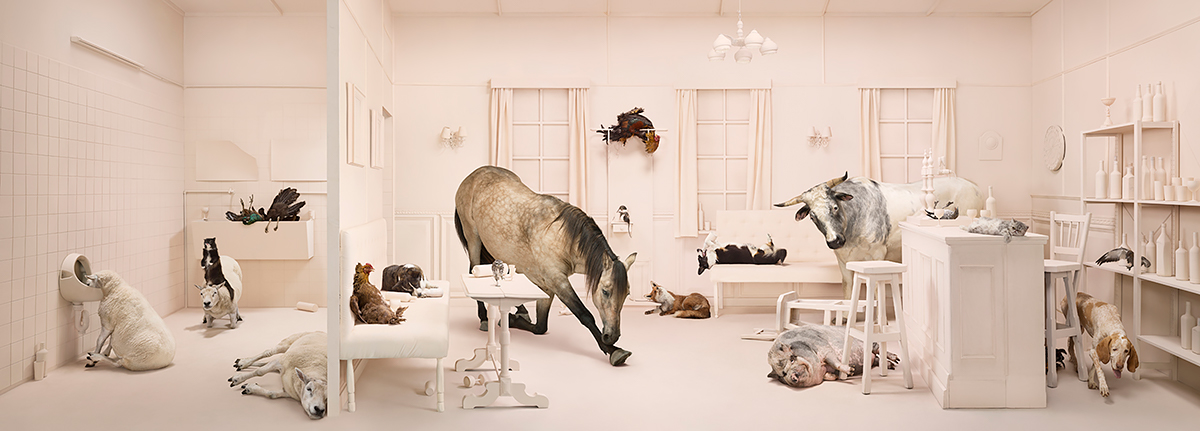 Animals<p>Courtesy Bransch NY & EU / © Frieke Janssens</p>