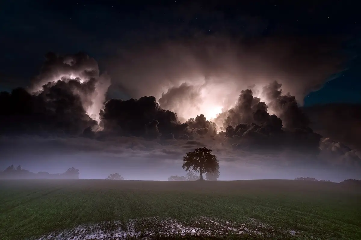 <p>© Olivier Jarry-Lacombe</p>