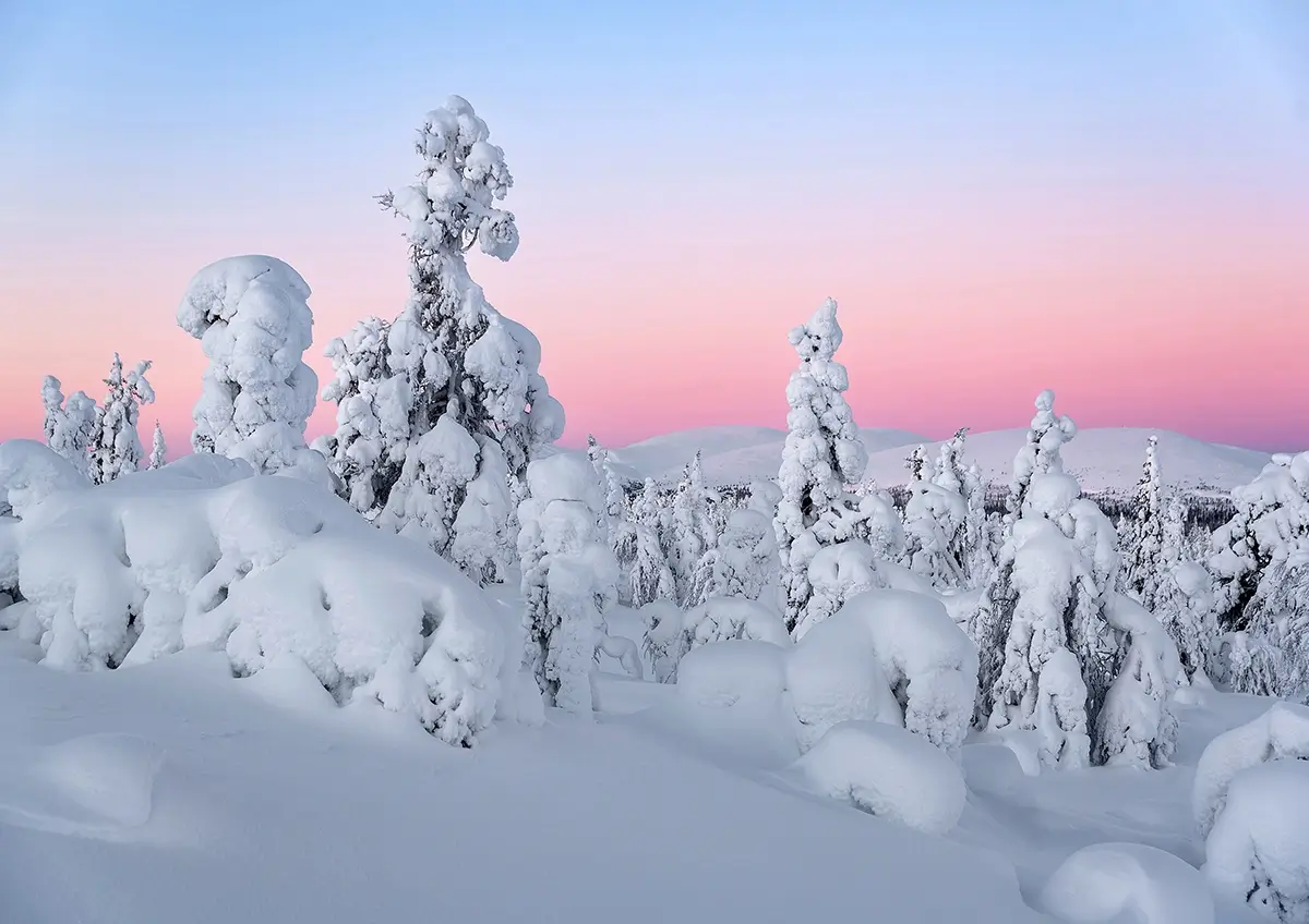 <p>© Olivier Jarry-Lacombe</p>