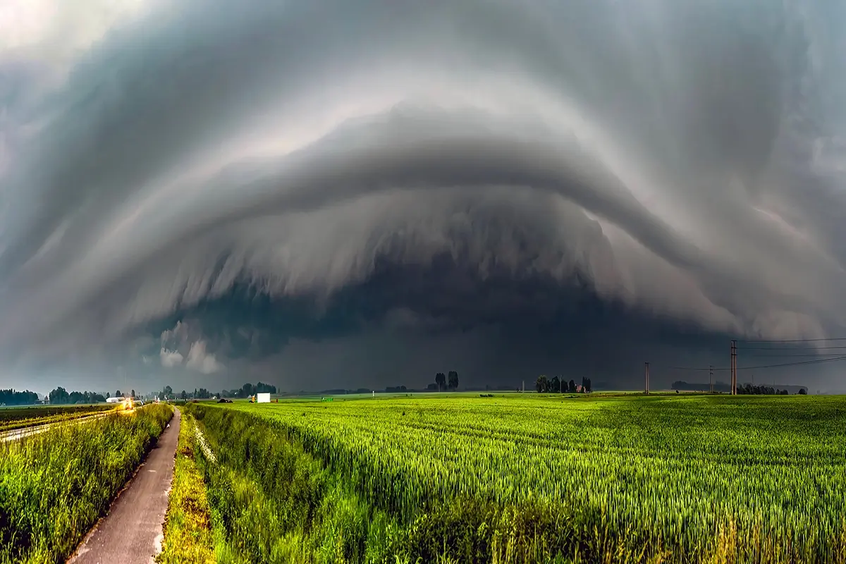 <p>© Olivier Jarry-Lacombe</p>