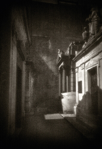 Remnants of the Departed - Argentina Plate 3<p>© Robb Johnson</p>