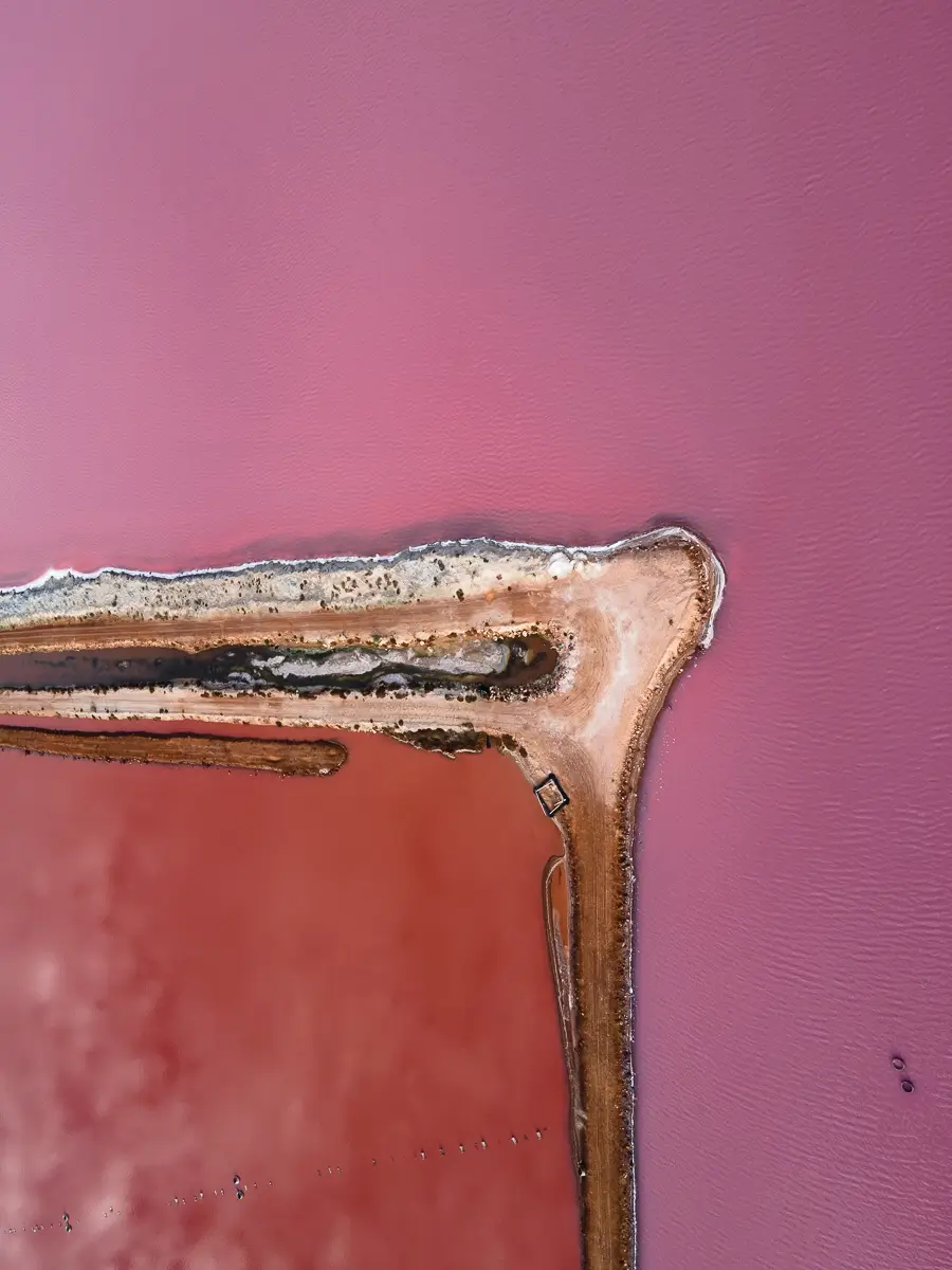 Salt Lake Series-Crusty Raspberry Pie<p>&copy; Sarah and Lucy Jenkins</p>