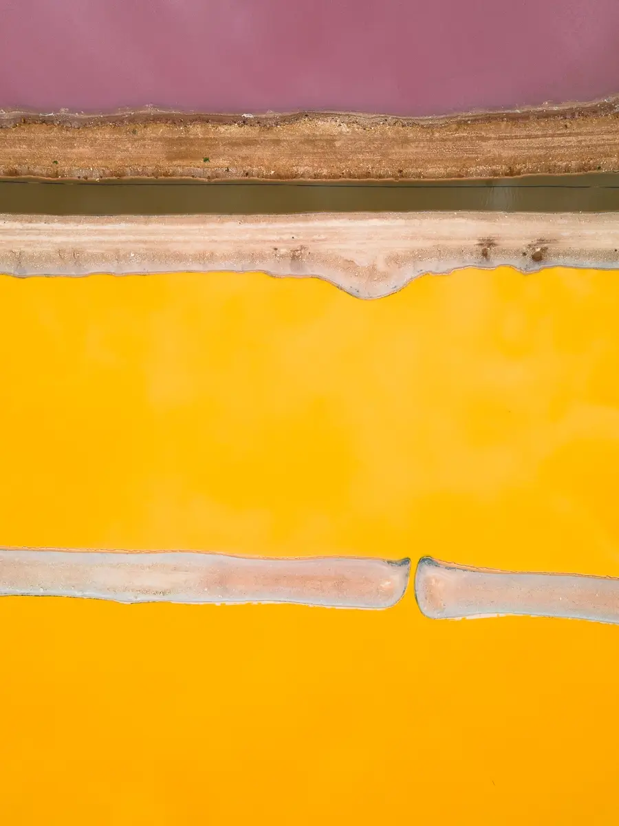 Salt Lake Series-Vanilla Custard Slice<p>&copy; Sarah and Lucy Jenkins</p>