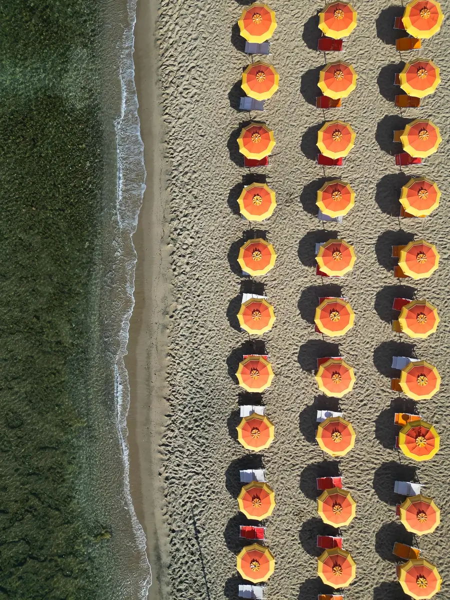 Umbrella Fiesta<p>&copy; Sarah and Lucy Jenkins</p>