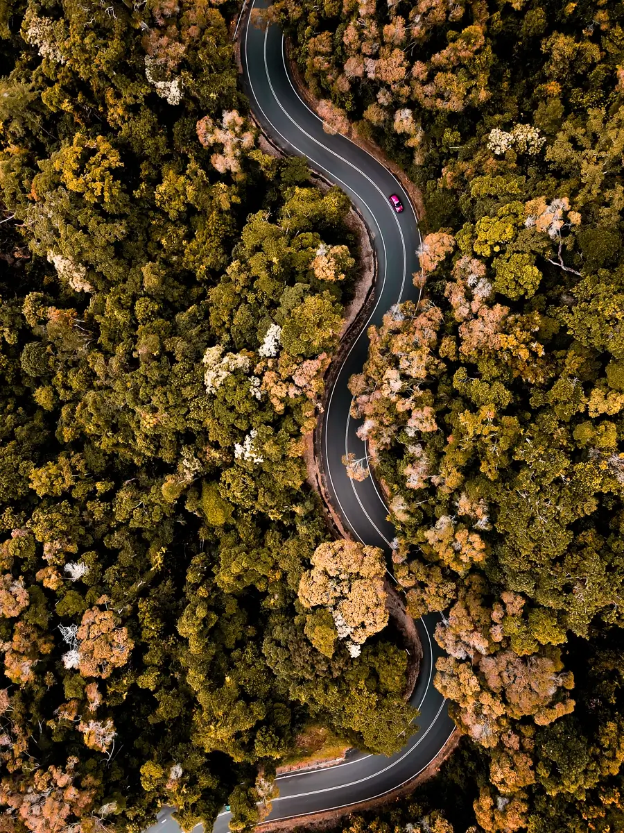 Driving Yourself Around the Bend<p>&copy; Sarah and Lucy Jenkins</p>